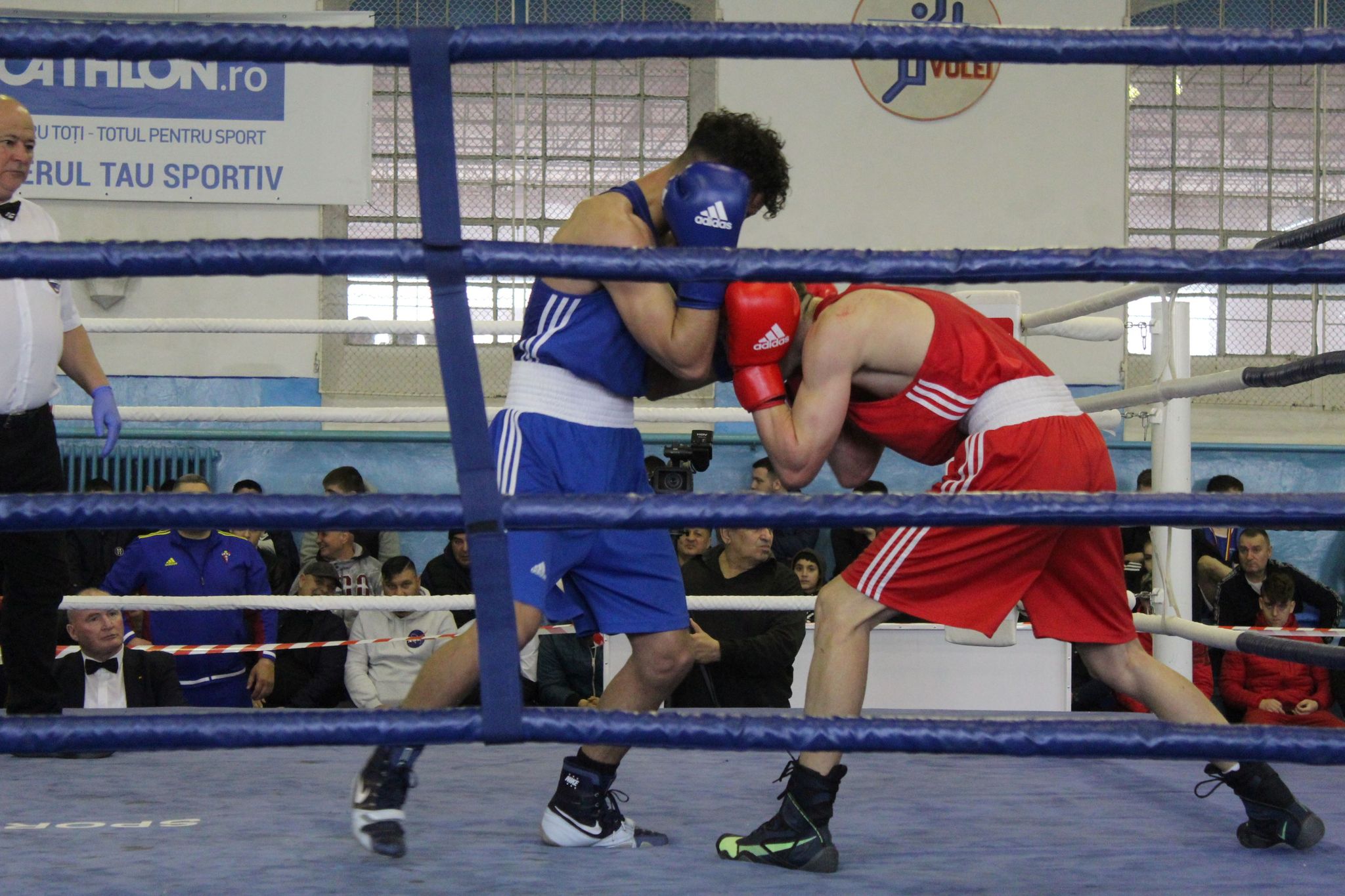 CSM Braila a organizat Cupa Romaniei la box seniori
