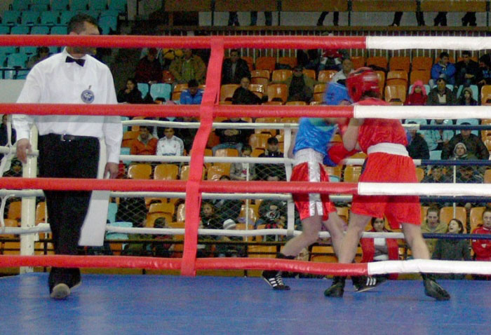 Cupa României la box feminin și-a desemnat câștigătorii din 2013